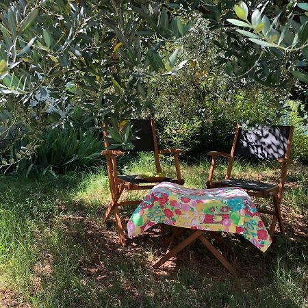 Magnolia Apartman Póla Kültér fotó